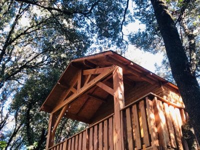 Cabane en bois perchée dans les arbres, entourée de verdure luxuriante.
