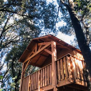 55618288_267824450811689_1166725976172789760_n