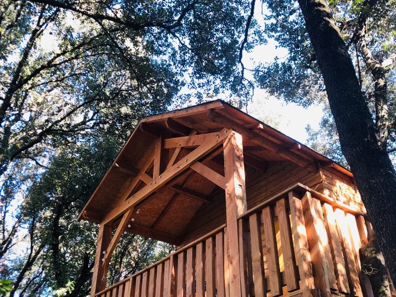 Cabane en bois perchée dans les arbres, entourée de feuillage verdoyant.
