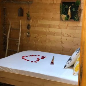 55783756_581738828898056_2448227273929654272_n