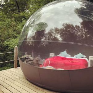 57154708_2629103370437418_3870230322171871232_n