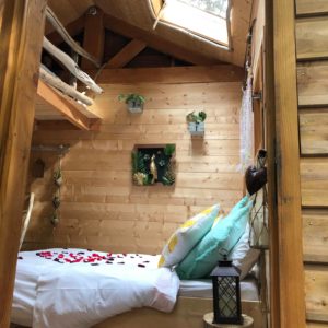 57195256_418991708648302_9223196806484066304_n