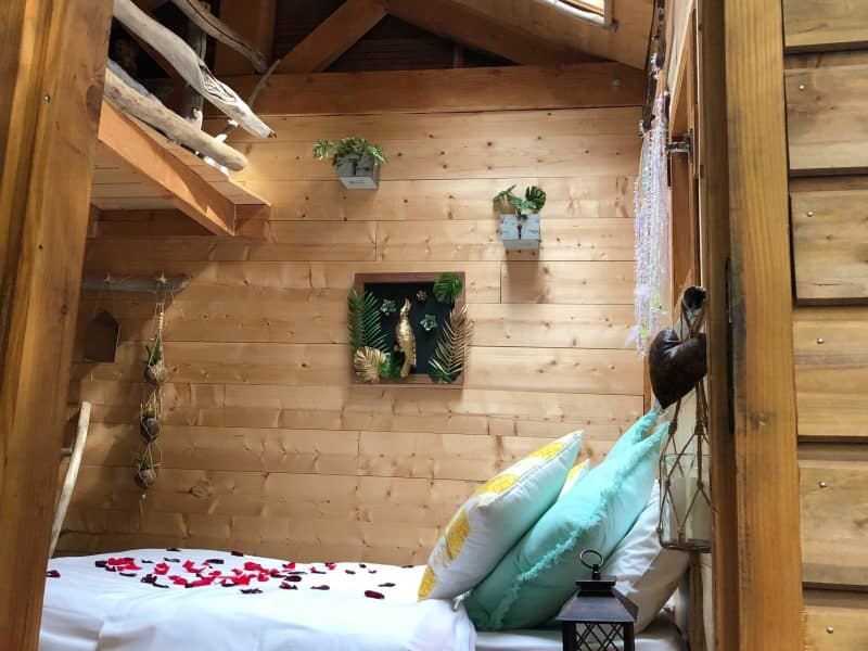 Chalet en bois chaleureux avec lit décoré de pétales de rose et lumière naturelle.