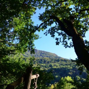 Cabane perchée en bois, entourée de verdure, offrant une vue sur les montagnes.