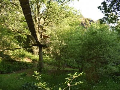 Cabane dans les arbres en Bretagne, perchée au milieu dune verdure luxuriante.