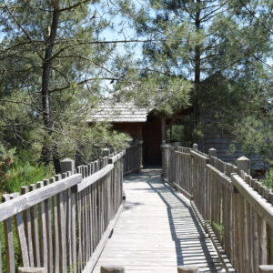 Cabane perchée en Bretagne, accessible par un chemin en bois entouré de pins.