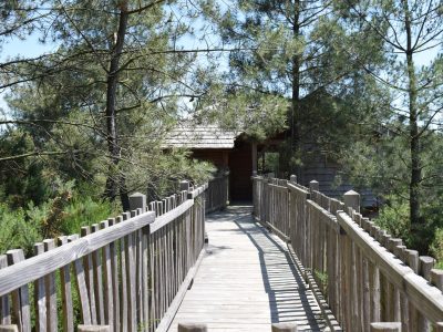 Cabane perchée en Bretagne, accessible par un chemin en bois entouré de pins.