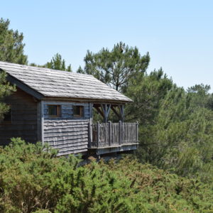 Cabane perchée en bois, entourée de verdure, offrant une vue sur la nature bretonne.