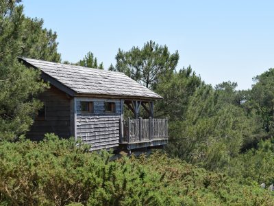 Cabane perchée en bois, entourée de verdure, offrant une vue sur la nature bretonne.