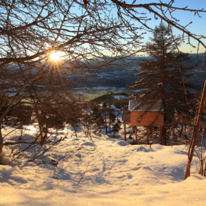 Cabane perchée en bois, entourée de neige et de sapins, avec un lever de soleil éclatant.
