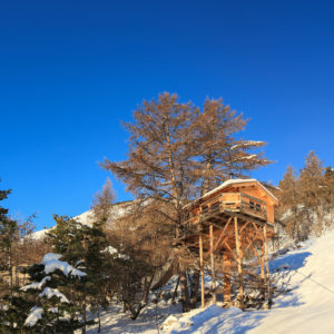 Cabane perchée en bois, entourée de neige et de sapins, sous un ciel bleu éclatant.