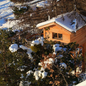 Cabane en bois perchée dans les arbres, entourée de neige et de sapins.