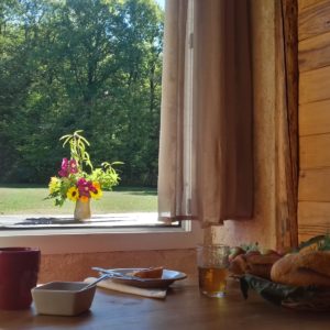 Hébergement insolite en bois avec vue sur la nature et petit-déjeuner gourmand.