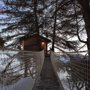Cabane perchée dans les arbres, accessible par un pont suspendu, au cœur des Alpes.