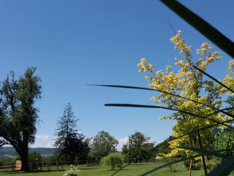 Gîte paisible avec vue sur un jardin verdoyant et ciel bleu éclatant.