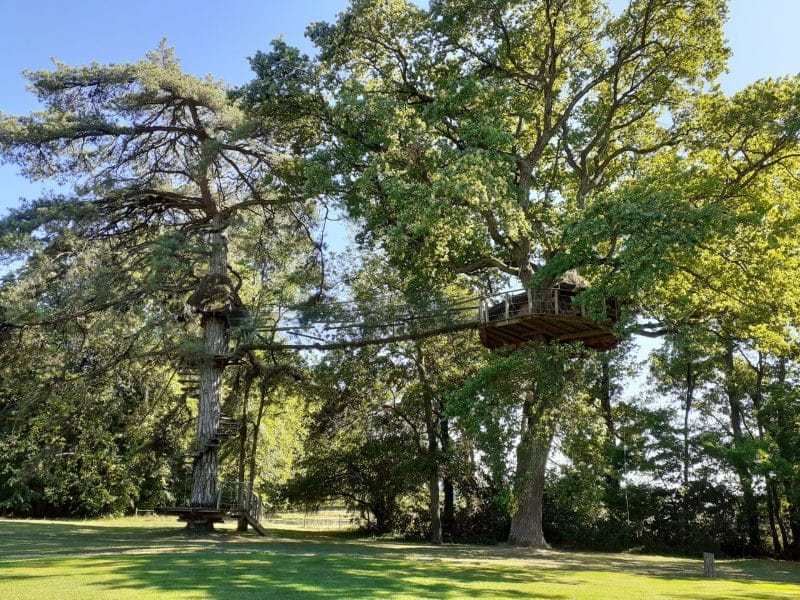 Cabane dans les arbres, perchée entre de grands chênes, offrant une vue imprenable.
