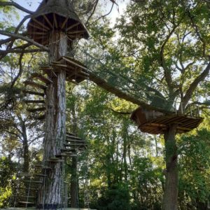 Cabane perchée dans un arbre en Bourgogne, entourée de verdure luxuriante.