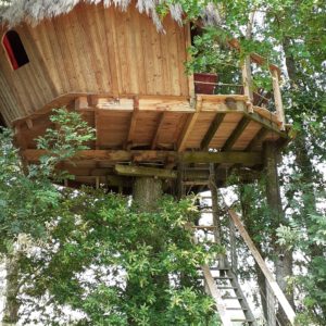 Cabane dans les arbres en Bourgogne, perchée au milieu des feuillages verdoyants.