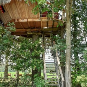 Cabane perchée dans les arbres en Bourgogne, accessible par un escalier en bois.