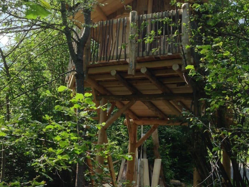 Cabane perchée en bois dans les arbres, entourée de verdure luxuriante.