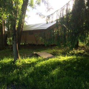 Tente safari spacieuse, nichée au cœur dune verdure luxuriante et ensoleillée.