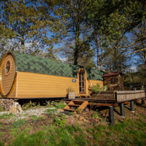 Cabane en bois avec toit verdoyant, entourée darbres au Limousin.