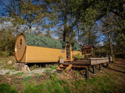 Cabane en bois avec toit verdoyant, entourée darbres au Limousin.