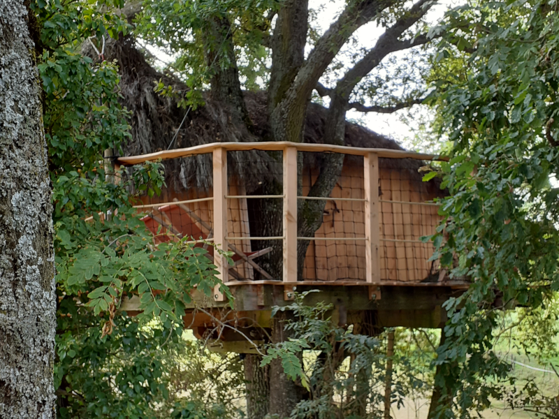 Cabane perchée dans un arbre en Bourgogne, entourée de verdure luxuriante.