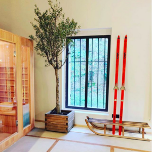 Hébergement insolite en Auvergne-Rhône-Alpes avec un arbre intérieur et des skis rouges.