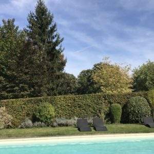 23196-fo-normal___v_821f7b2db9b09b8d9f6d1e2036b6c4f9