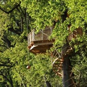 Cabane perchée dans un arbre, entourée de feuillage verdoyant et dune échelle spirale.