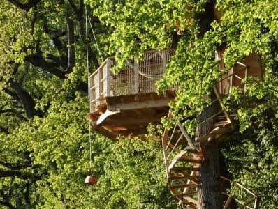 Cabane perchée dans un arbre, entourée de feuillage verdoyant et dune échelle spirale.