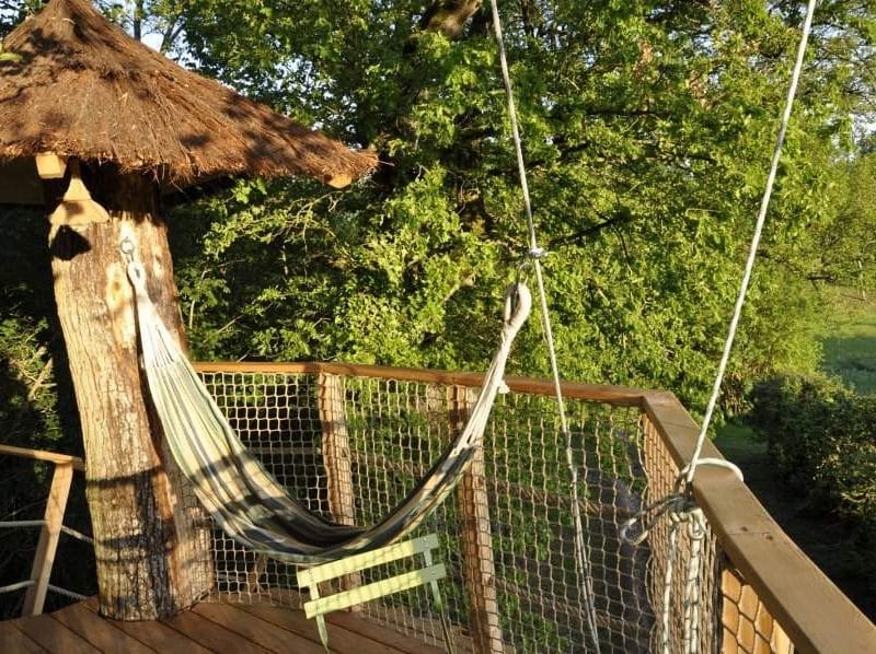 Cabane perchée avec hamac, entourée de verdure luxuriante au Centre.