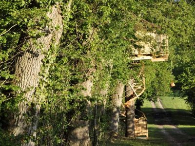 Cabane perchée dans les arbres, entourée de verdure luxuriante et dun chemin sinueux.