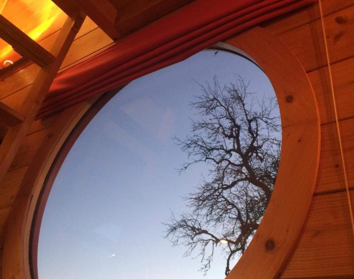 Hébergement insolite en cabane avec vue circulaire sur un ciel dégagé et un arbre.