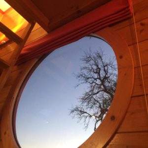 Hébergement insolite en cabane avec vue circulaire sur un ciel dégagé et un arbre.