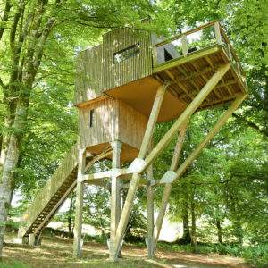 Cabane perchée dans les arbres, entourée de verdure luxuriante en Basse-Normandie.
