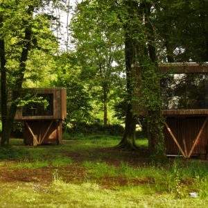 Cabines en bois perchées dans les arbres, entourées dune verdure luxuriante.