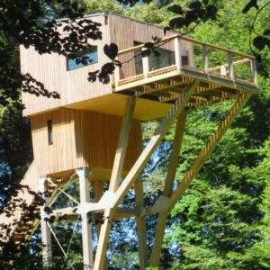 Cabane perchée en bois dans les arbres, entourée de verdure luxuriante.