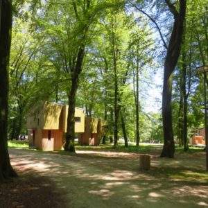 Cabane en bois moderne nichée dans une forêt verdoyante de Basse-Normandie.