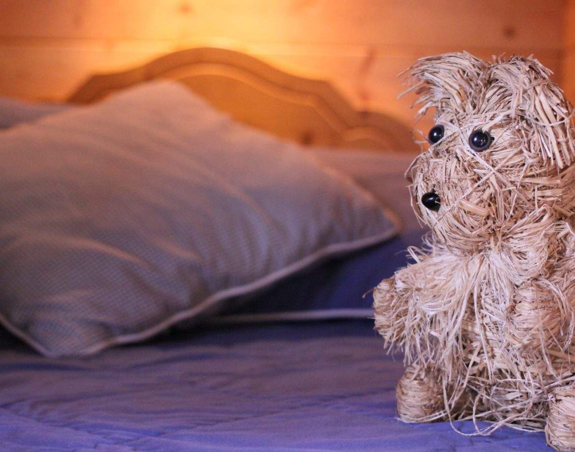 Hébergement insolite en Centre : cabane en bois avec un ours en paille sur le lit.