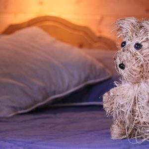 Hébergement insolite en Centre : cabane en bois avec un ours en paille sur le lit.