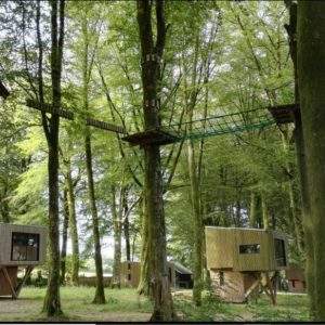 Cabane dans les arbres en Basse-Normandie, entourée de verdure et de sentiers suspendus.