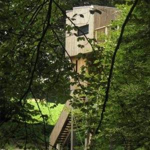 Cabane perchée en bois, entourée de verdure, offrant une vue imprenable sur la nature.