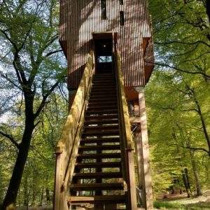 Cabane perchée en bois dans les arbres, entourée de verdure en Basse-Normandie.