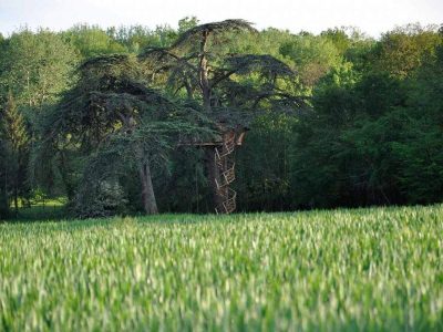 Cabane dans les arbres au cœur de la nature, entourée de champs verdoyants.