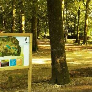 Hébergement insolite en forêt en Basse-Normandie, avec un panneau dactivités coloré.