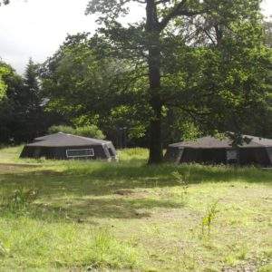 Hébergement insolite en forme de dôme, niché dans un écrin de verdure en Basse-Normandie.
