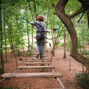 Hébergement insolite en cabane dans les arbres, au cœur dune forêt verdoyante.
