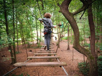 Hébergement insolite en cabane dans les arbres, au cœur dune forêt verdoyante.